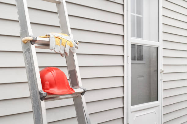 Best Siding Painting and Refinishing  in Stirling, NJ