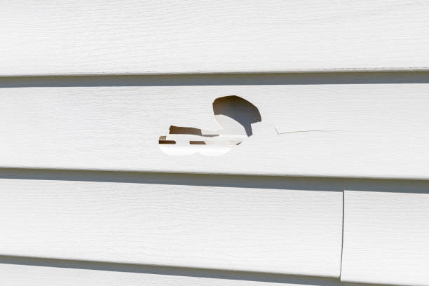 Best Insulated Siding Installation  in Stirling, NJ